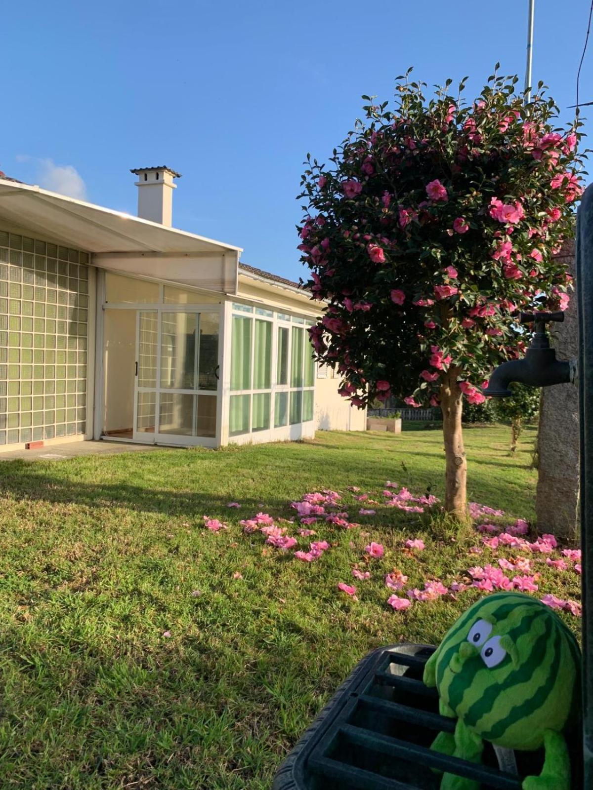 La Maison D'Abelleira Ponteareas Εξωτερικό φωτογραφία