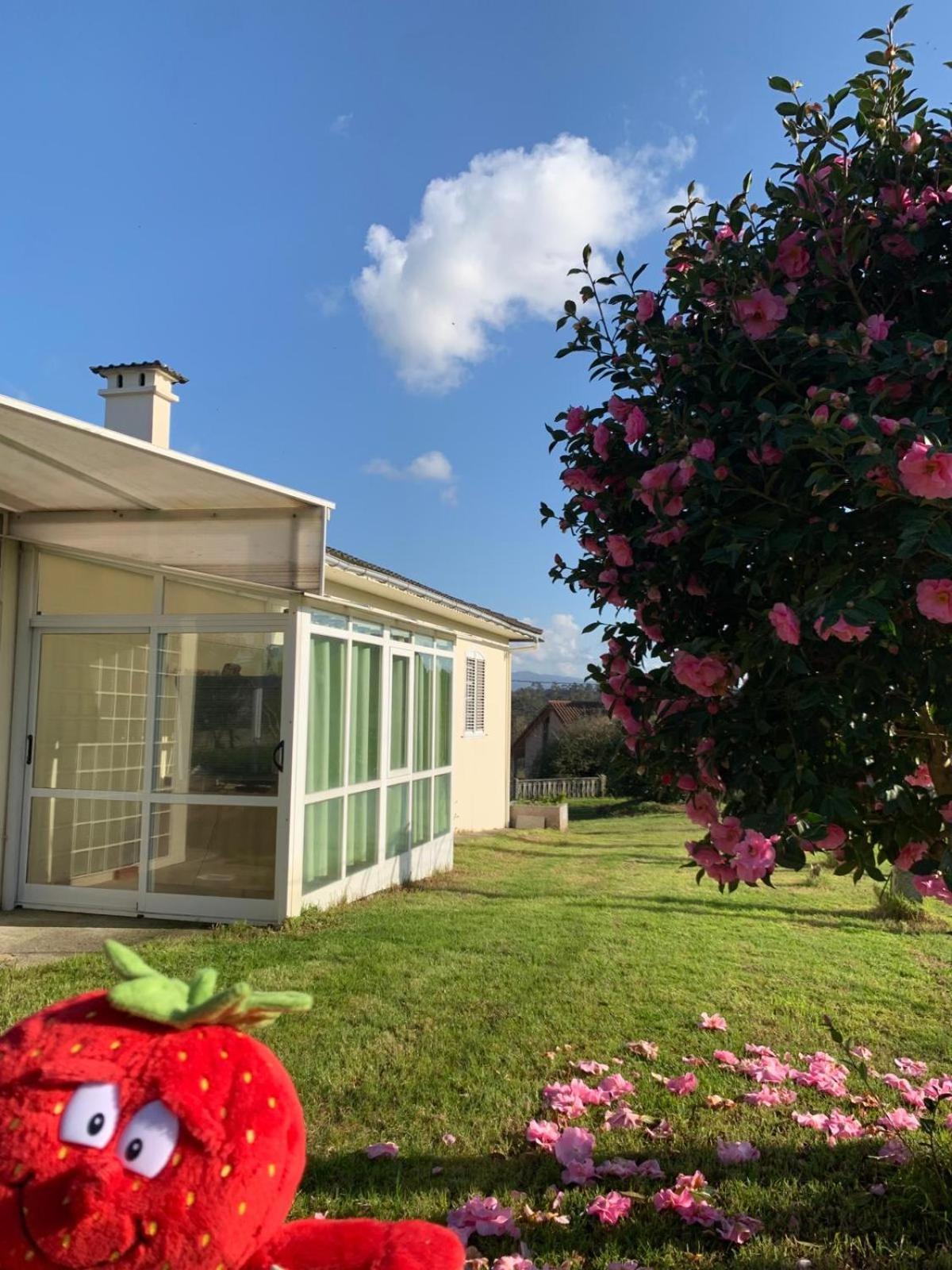 La Maison D'Abelleira Ponteareas Εξωτερικό φωτογραφία