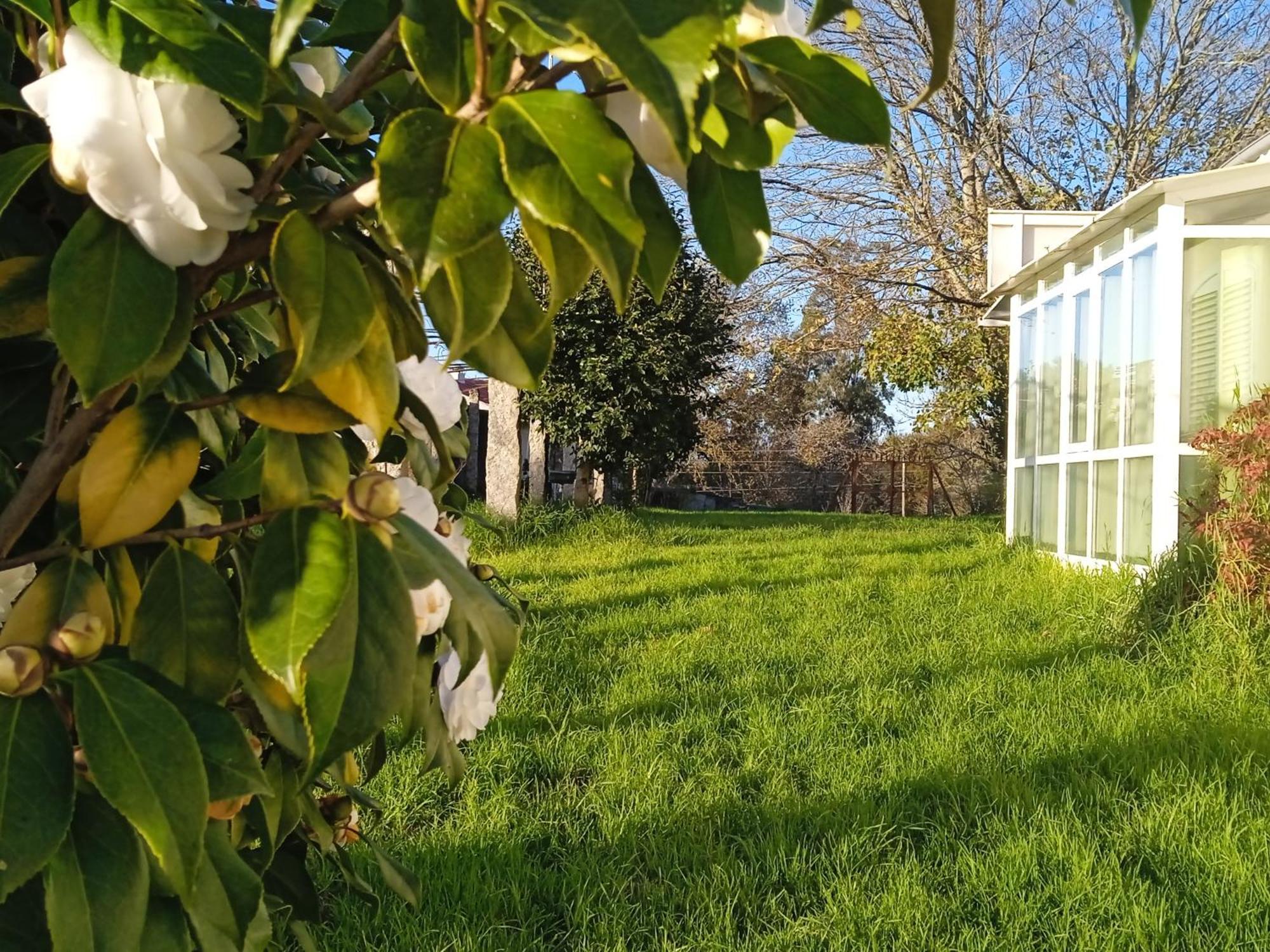 La Maison D'Abelleira Ponteareas Εξωτερικό φωτογραφία