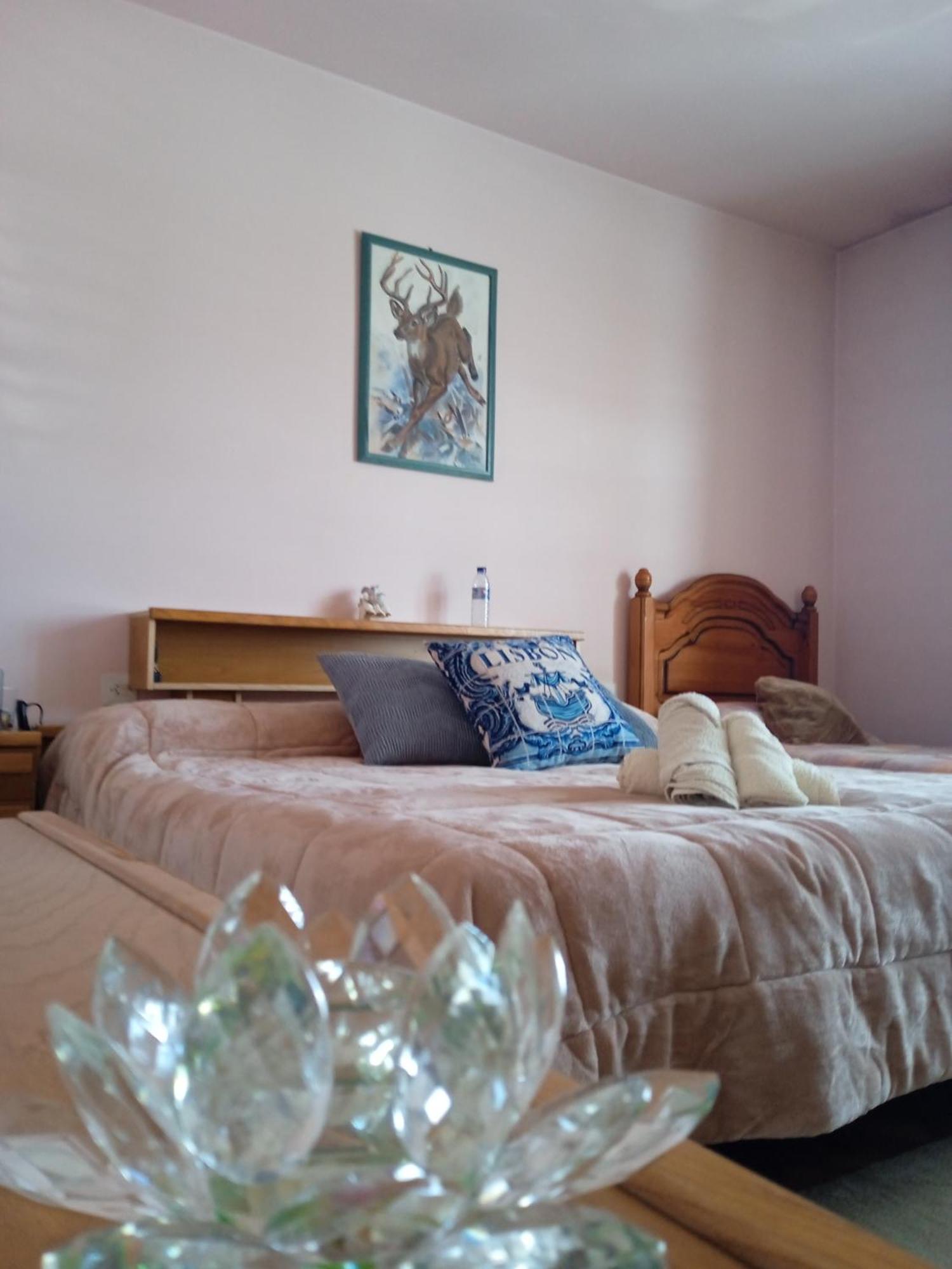 La Maison D'Abelleira Ponteareas Εξωτερικό φωτογραφία